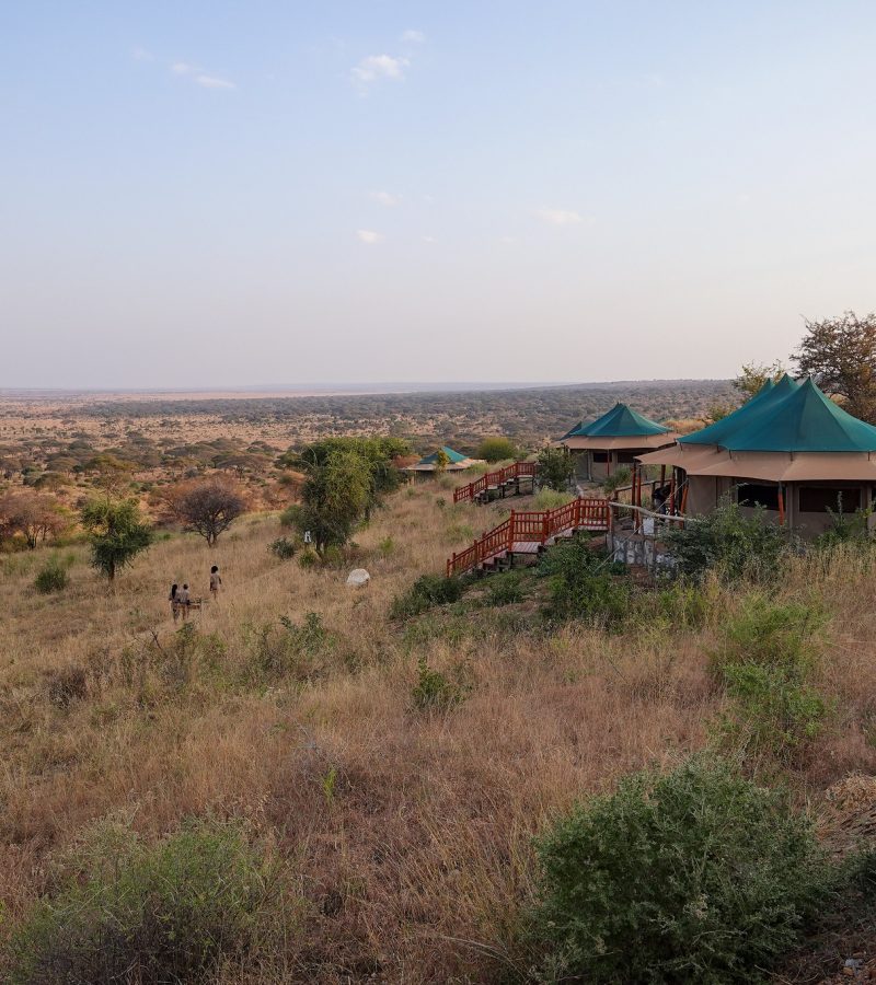 Serengeti luxury camp